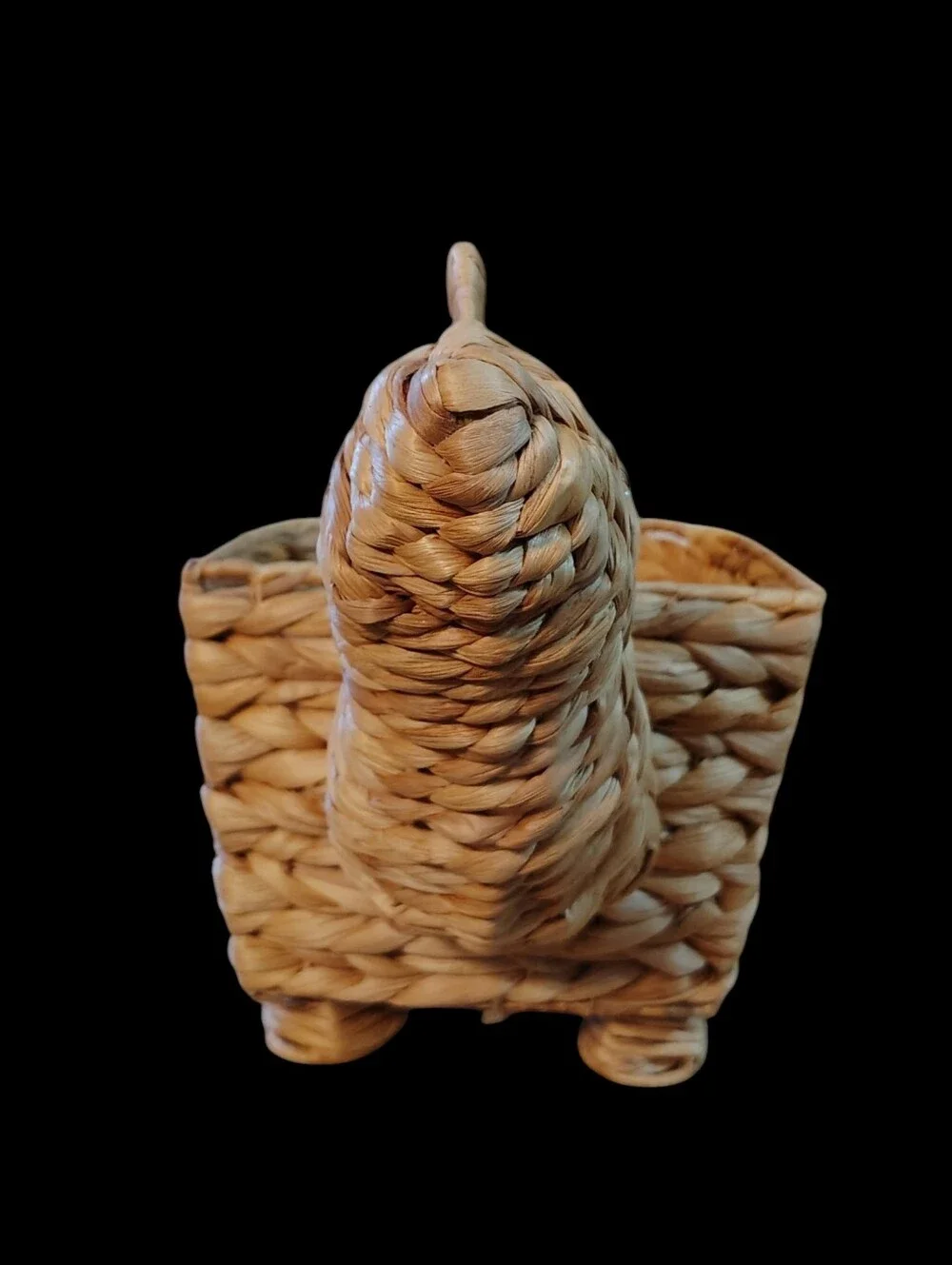 Dinosaur Rattan Wicker Plant Fruit Storage Decorative Planter
